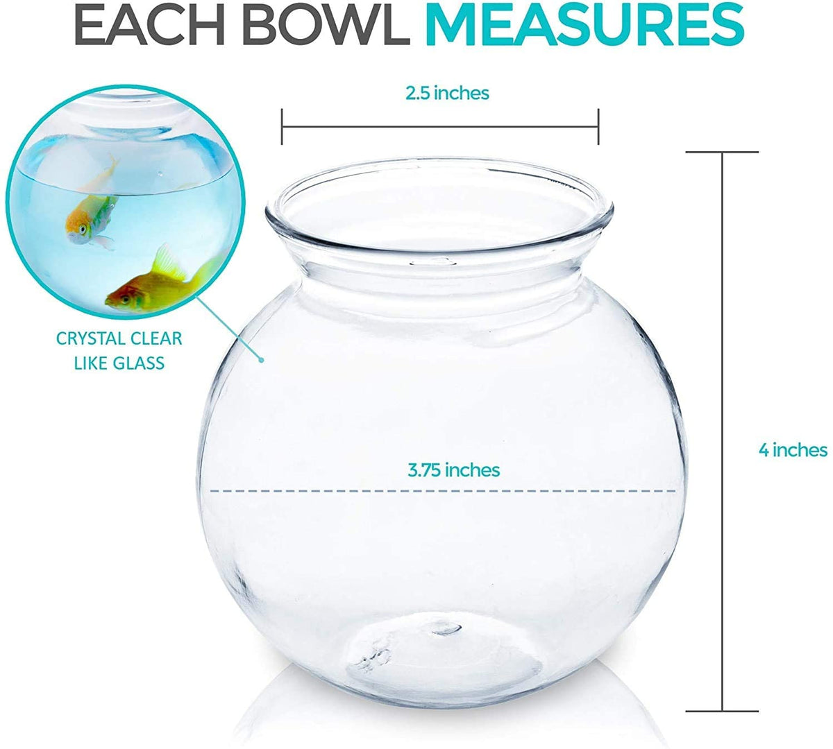 Small Round Plastic Fish Bowls for Parties (12 Pack) 16 oz Clear Mini Drink  Bowl, Shatterproof Fishbowl Glasses for Drinks, Centerpieces, Decorations,  Goldfish Pond Carnival Game, Centerpiece Vases