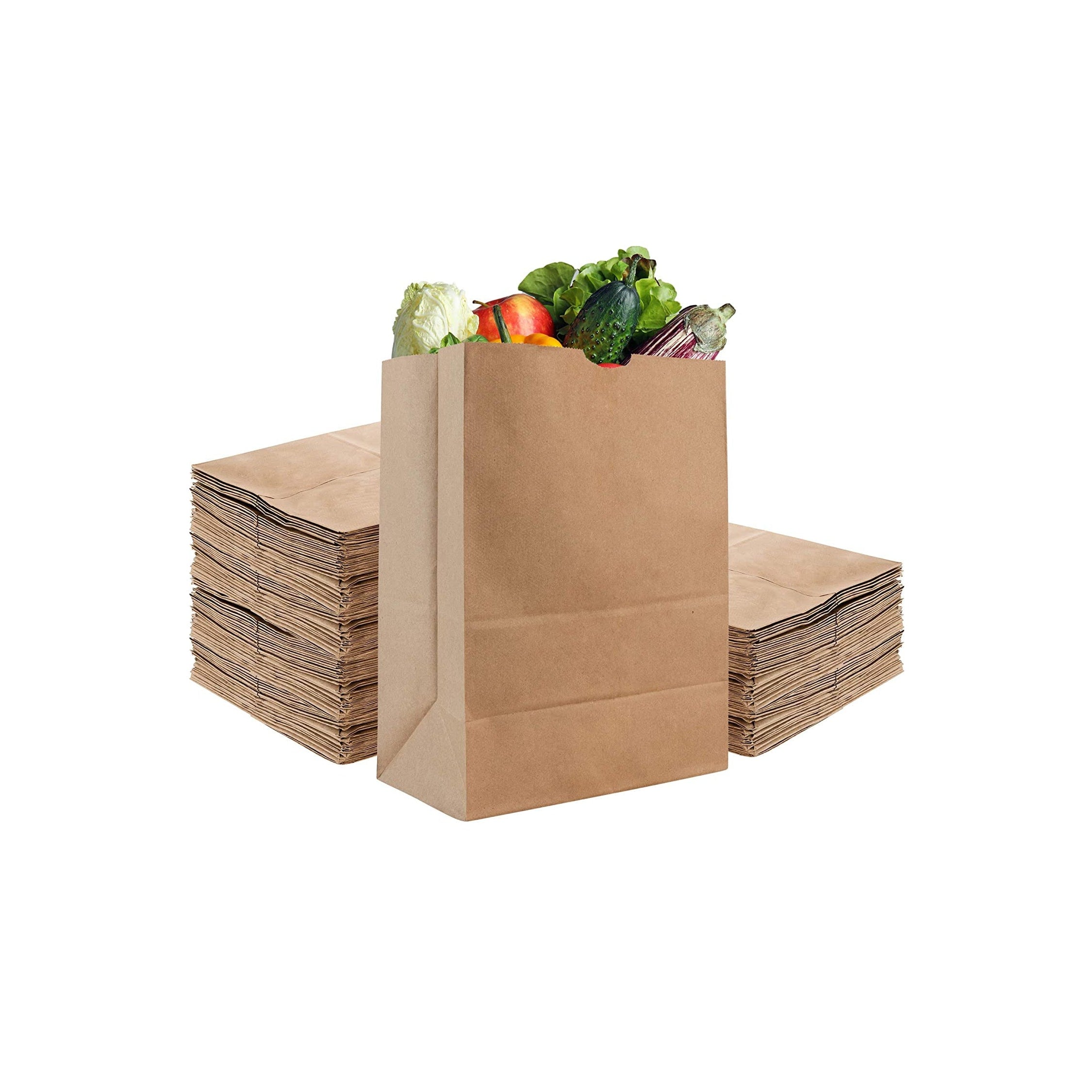 Stock Your Home Eco Grocery Bags (100 Count) Biodegradable Plastic Grocery  Bags - Reusable Supermarket Thank You Shopping Bags, Recyclable Plastic T